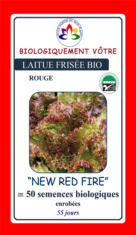 Laitue rouge Frisée New Red Fire