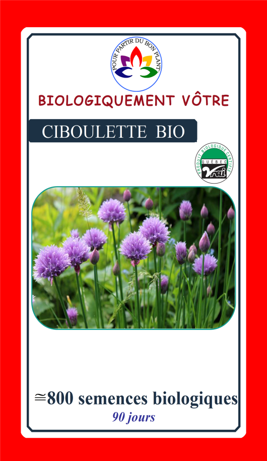 Ciboulette