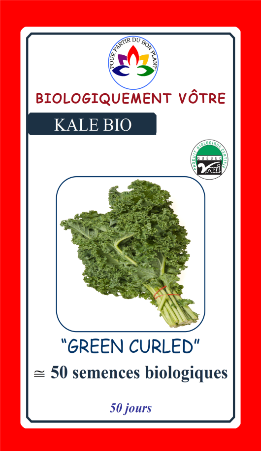 Kale Green Curled