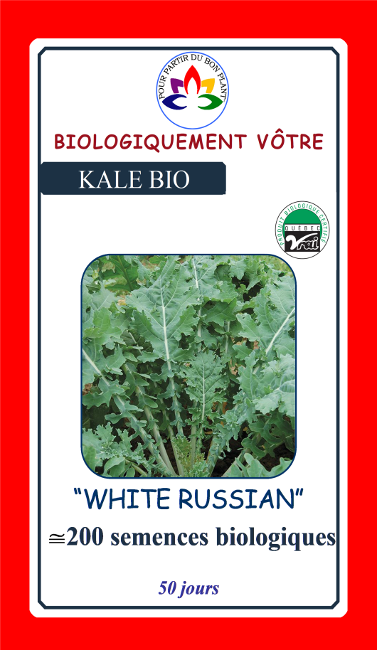 Kale White Russian