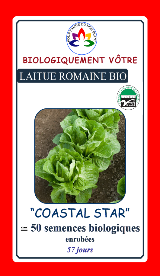 Laitue romaine Coastar Star