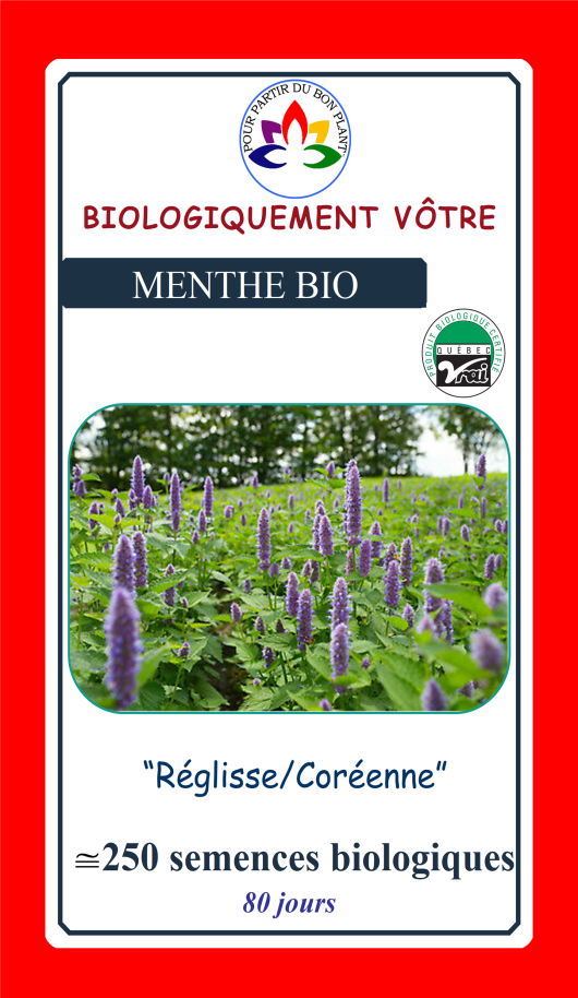 Menthe