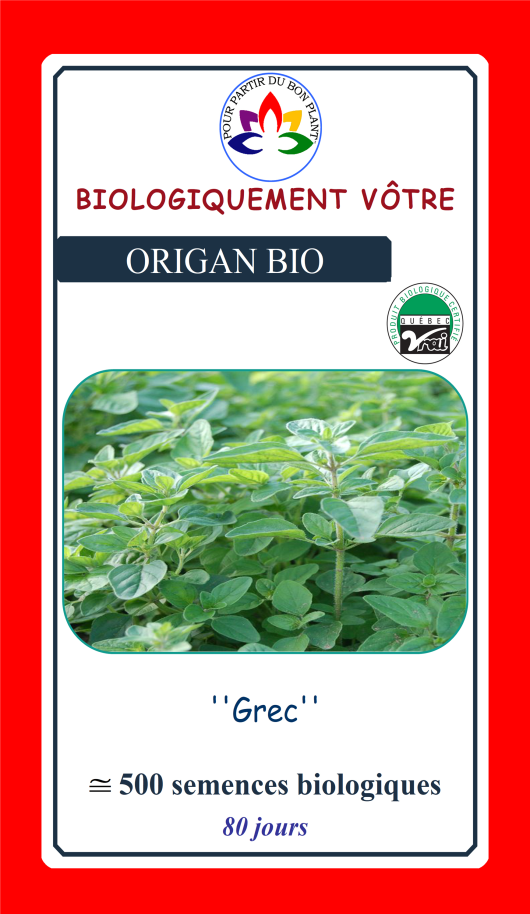 Origan grec