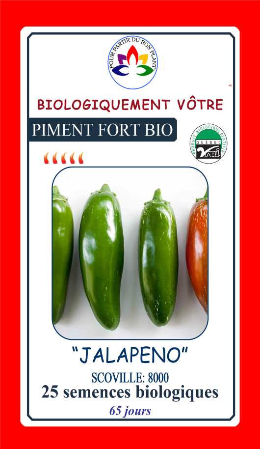 Piment Jalapeno rouge