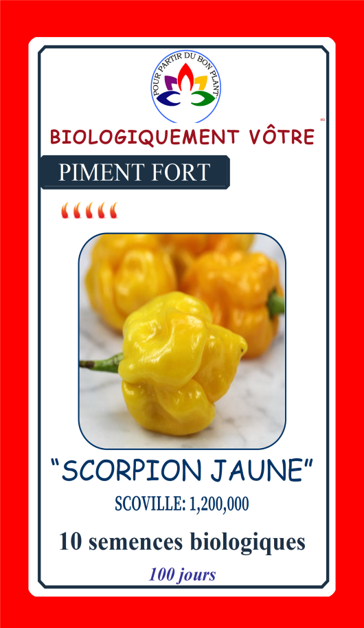 Piment Trinidad Scorpion jaune