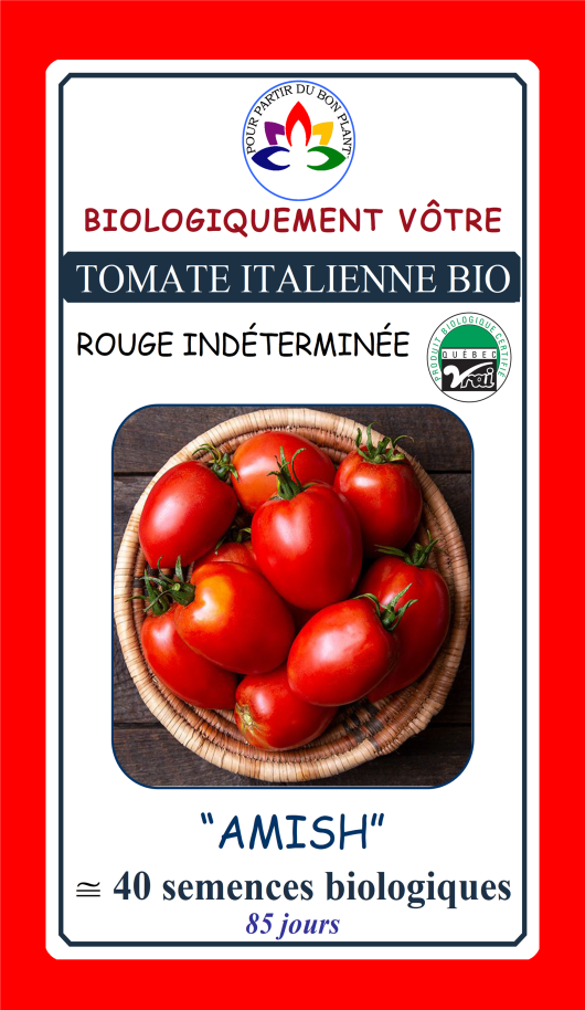 Tomate italienne rouge Amish