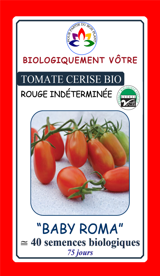 Tomate cerise rouge Baby Roma