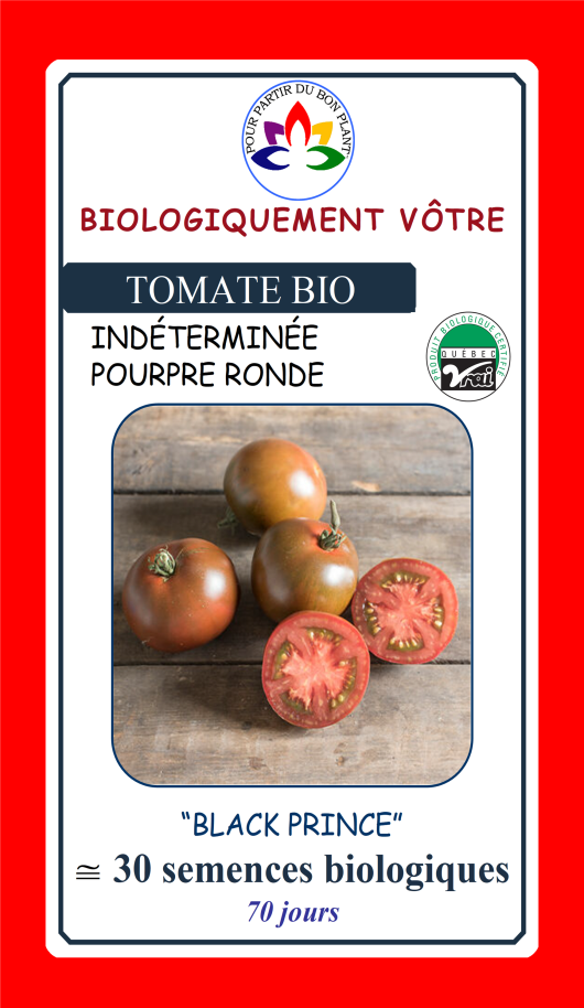 Tomate pourpre Black Prince