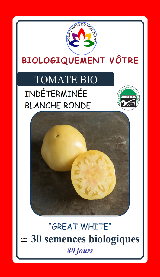 Tomate blanche Great White