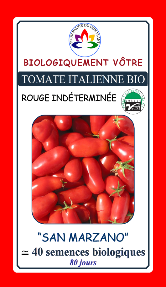 Tomate italienne rouge San Marzano