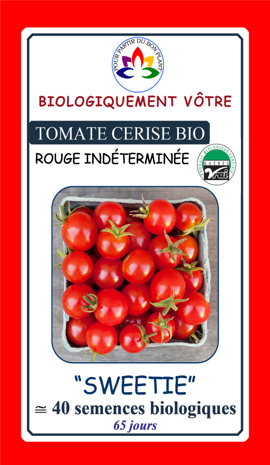 Tomate cerise rouge Sweetie