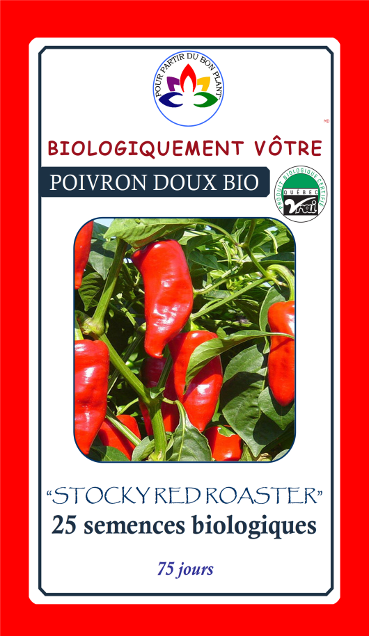 Poivron Stocky Red