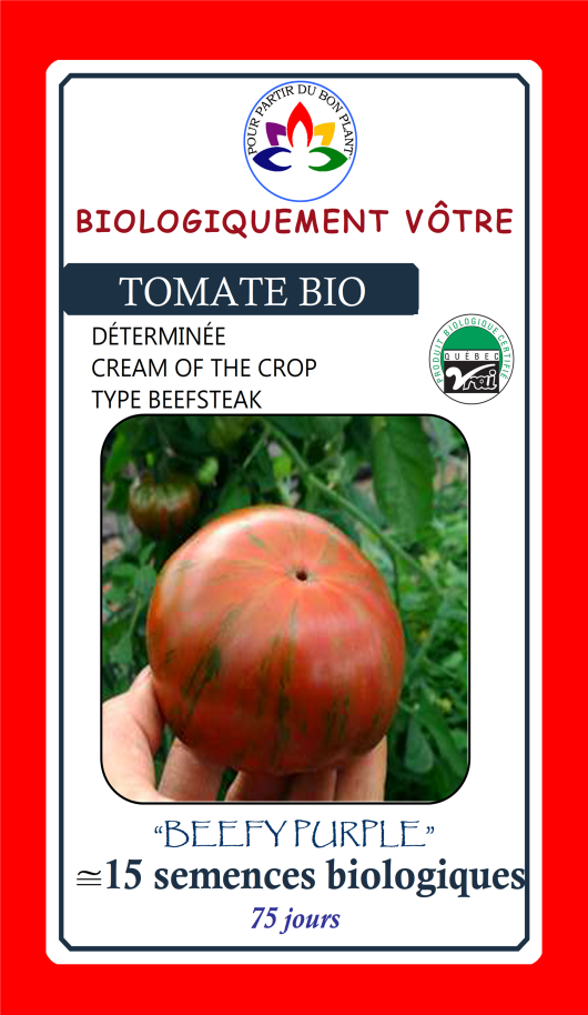 Tomate Beefy Purple