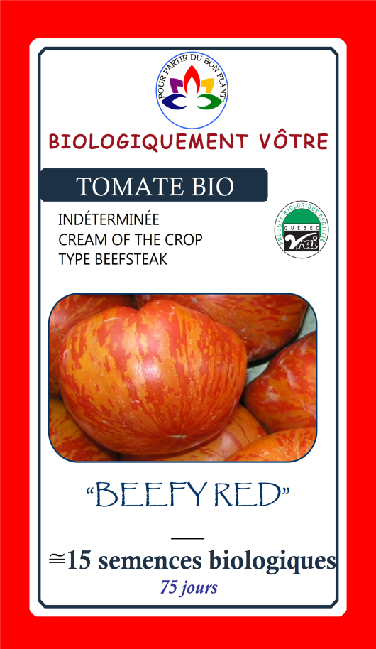 Tomate Beefy Red